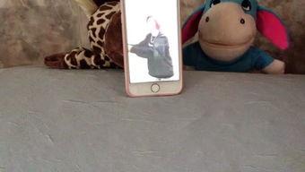 娱乐吃瓜宠物,吃瓜宠物们的欢乐日常